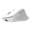 Kabellose Rechtshänder-Büromaus TRUST Niven – RF + Bluetooth, 3200 DPI, 7 Tasten, Mausrad, Weiß