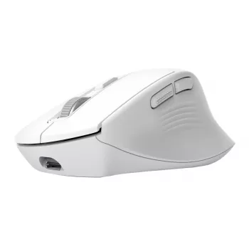 Kabellose Rechtshänder-Büromaus TRUST Niven – RF + Bluetooth, 3200 DPI, 7 Tasten, Mausrad, Weiß