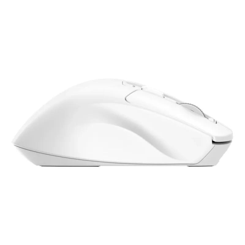 Kabellose Rechtshänder-Büromaus TRUST Niven – RF + Bluetooth, 3200 DPI, 7 Tasten, Mausrad, Weiß