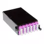 ACT High Density Fanout-Kassette 24 Fasern MTP®-MPO Low Loss OM4