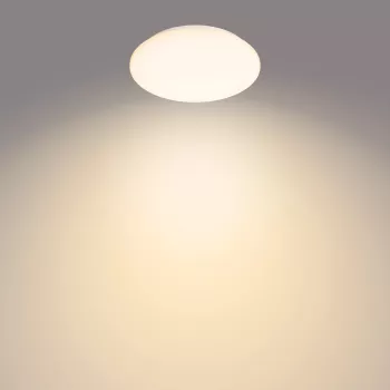 Philips Functional Moire Deckenleuchte 10 W, LED, fest verbaute Leuchtmittel, 2700 K, 1000 lm, IP20, Weiß