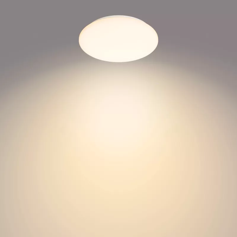 Philips Functional Moire Deckenleuchte 10 W, LED, fest verbaute Leuchtmittel, 2700 K, 1000 lm, IP20, Weiß