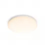 Philips Functional Deckenleuchte, LED, nicht austauschbare(s) Leuchtmittel, 2700 K, 1700 lm, IP20, Weiß