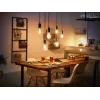 Intelligente Glühbirne Philips 1er-Pack ST72 E27 Filament Edison Bluetooth Zigbee