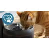 Automatischer Haustier-Trinkbrunnen Philips 3000 Series PAW3210/02, 2,2 L, USB/AC, Schwarz, Kunststoff