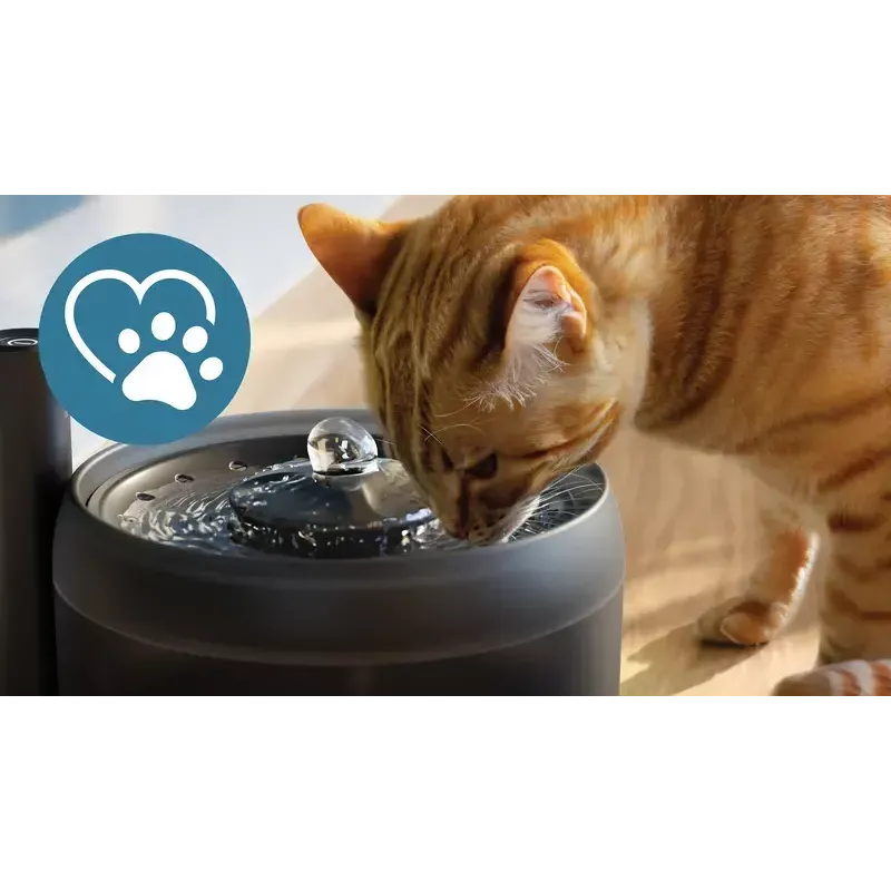 Automatischer Haustier-Trinkbrunnen Philips 3000 Series PAW3210/02, 2,2 L, USB/AC, Schwarz, Kunststoff