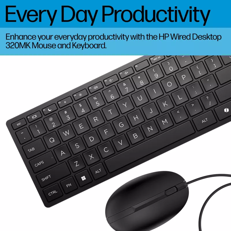 HP Wired Desktop 320MK Maus und Tastatur