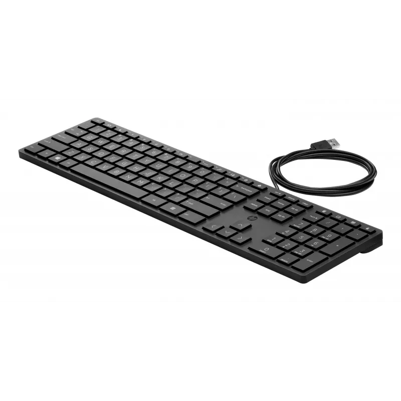 HP Wired Desktop 320K Tastatur Full-size USB Schwarz 1,8m Kabel