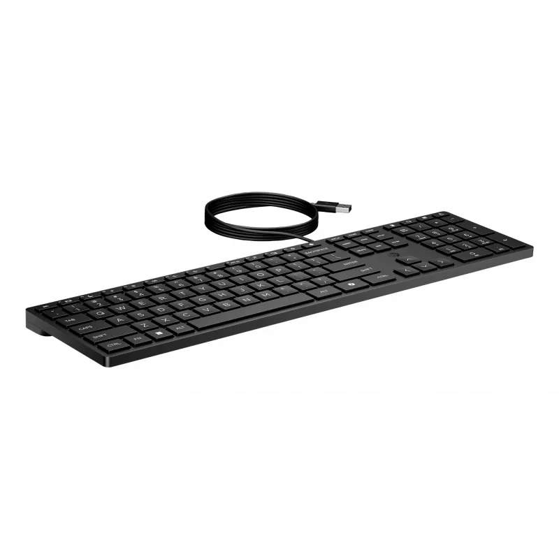 HP Wired Desktop 320K Tastatur