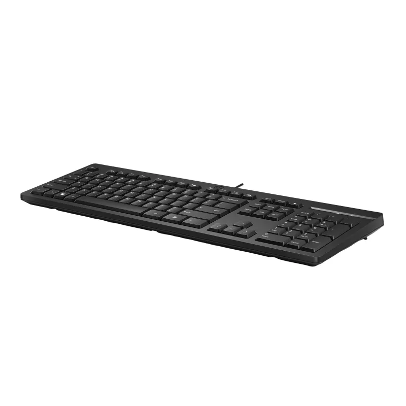 Kabelgebundene Tastatur HP 125 Full-Size USB Membrane Schwarz
