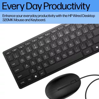 HP Wired Desktop 320MK Maus und Tastatur