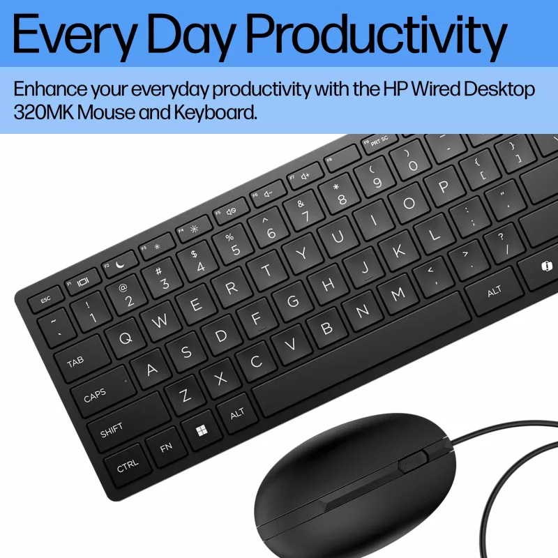 HP Wired Desktop 320MK Maus und Tastatur