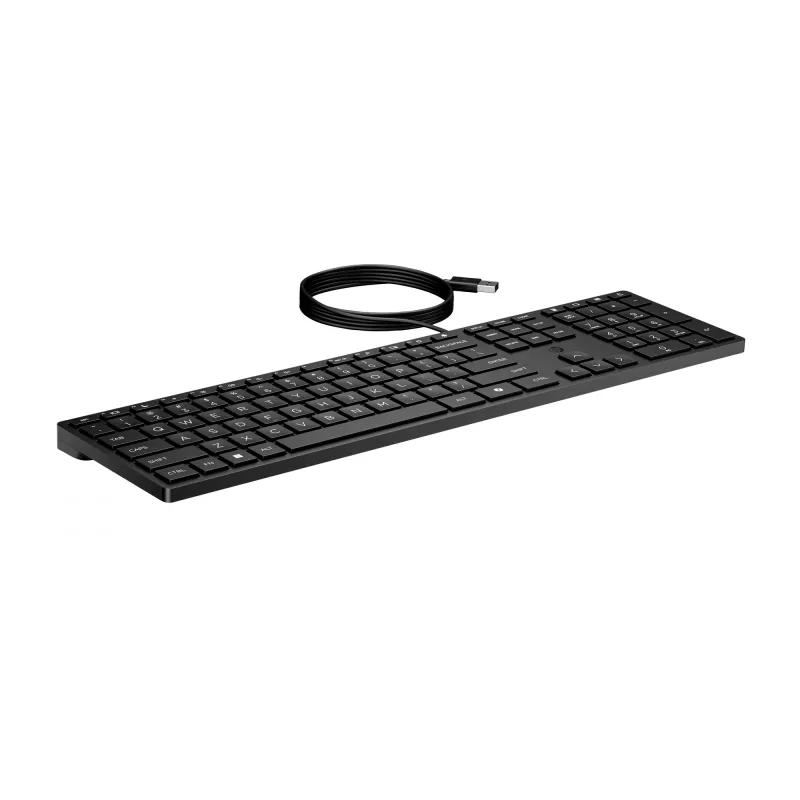 HP Wired Desktop 320K Tastatur