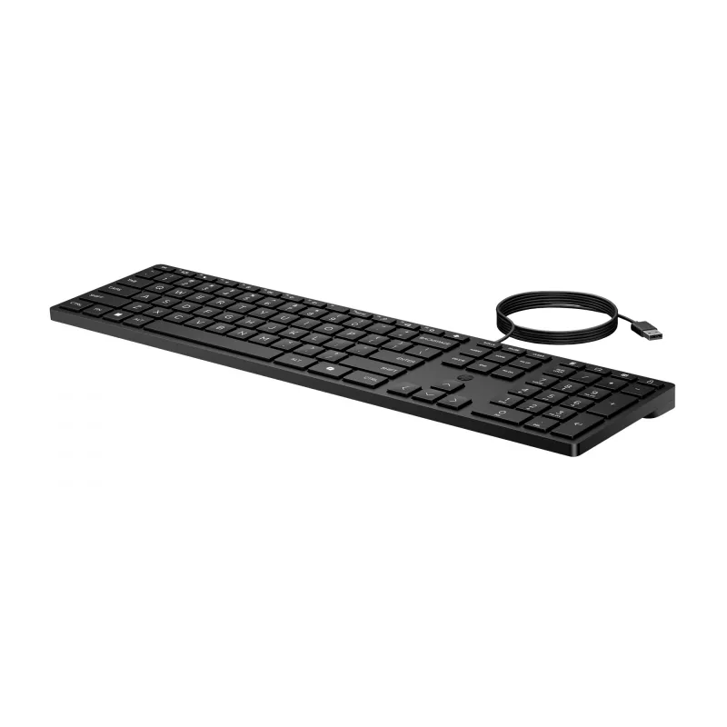 HP Wired Desktop 320K Tastatur