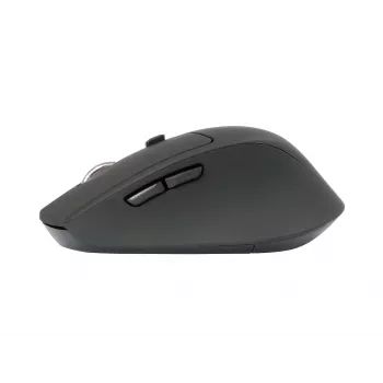 Conceptronic LORCAN02B Ergo Maus Büro Rechtshändig Bluetooth Optisch 1600 DPI
