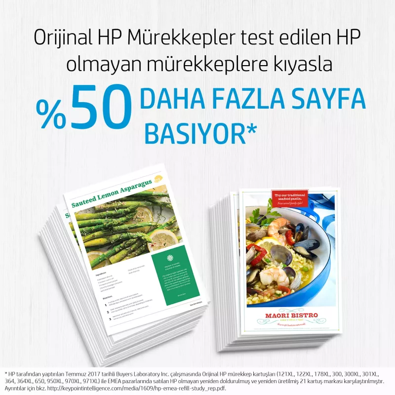 HP 300 Tintenpatrone Farbe Vivera 4ml