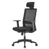 Ergo Office ER-425 Ergonomischer High-Back-Bürostuhl, max. 150 kg, drehbar, verstellbare Stützen