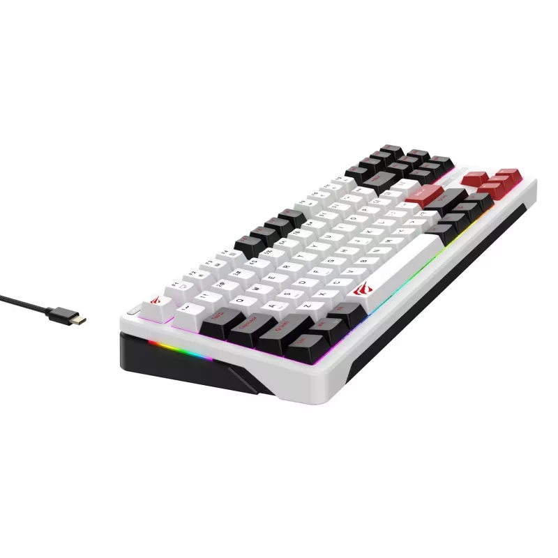 Havit KB902L Gaming-Tastatur 80% kabelgebunden USB QWERTY 88 Tasten RGB LED