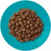 APPLAWS Adult Ocean fish with salmon - Trockenfutter für Katzen - 1,8kg