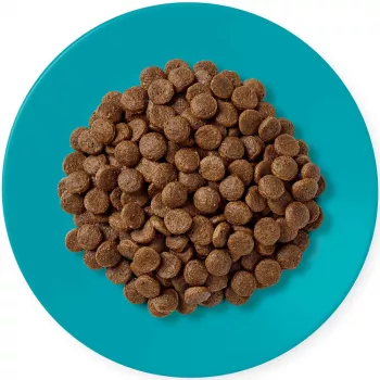 APPLAWS Adult Ocean fish with salmon - Trockenfutter für Katzen - 1,8kg