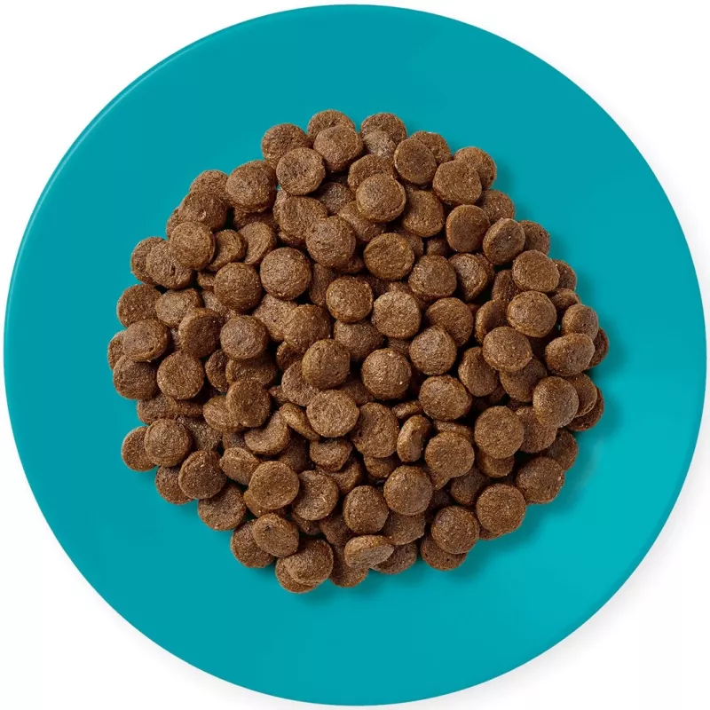 APPLAWS Adult Ocean fish with salmon - Trockenfutter für Katzen - 1,8kg