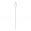 USB-C auf Lightning Kabel Apple MX0K2ZM/A 1m