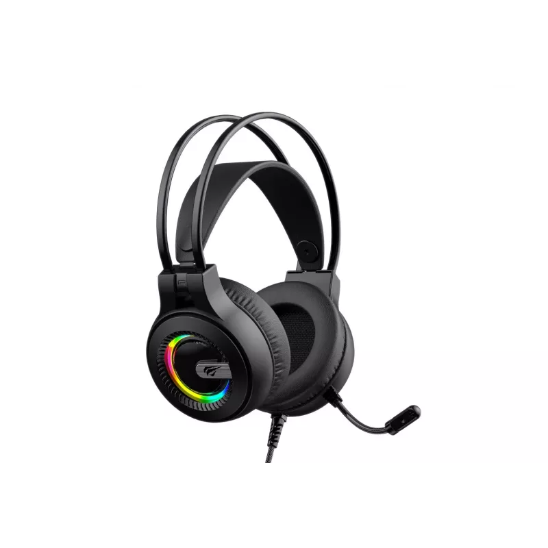 Headphones Havit H2040d