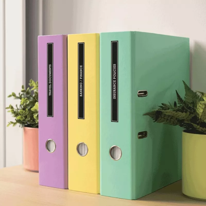 Brother PT-N25BT Etikettendrucker mit Bluetooth-Konnektivität, kompaktes Handgerät