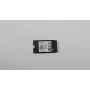 256 GB M.2 2242 PCIe 4.0 NVMe SSD