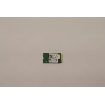Lenovo SSD 256GB M.2 2242 PCIe4x4 Mic OP (5SS1D71680)