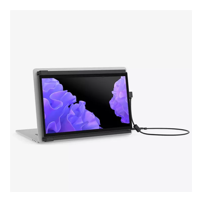 Mobile Pixels 101-1006P04 Display