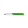 Victorinox 6.7604.C1 Grün