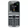 Beafon Fold10LTE_EU003B Silber