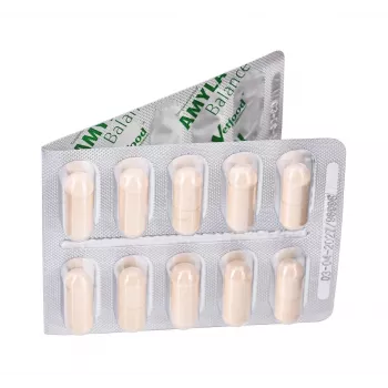 Vetfood Amylactiv Balance Verdauungsförderung für Hunde und Katzen 60 Kapseln