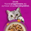 Nassfutter für Katzen Whiskas Tasty Mix Chef’s Selection in Soße 40×85 g Beutel