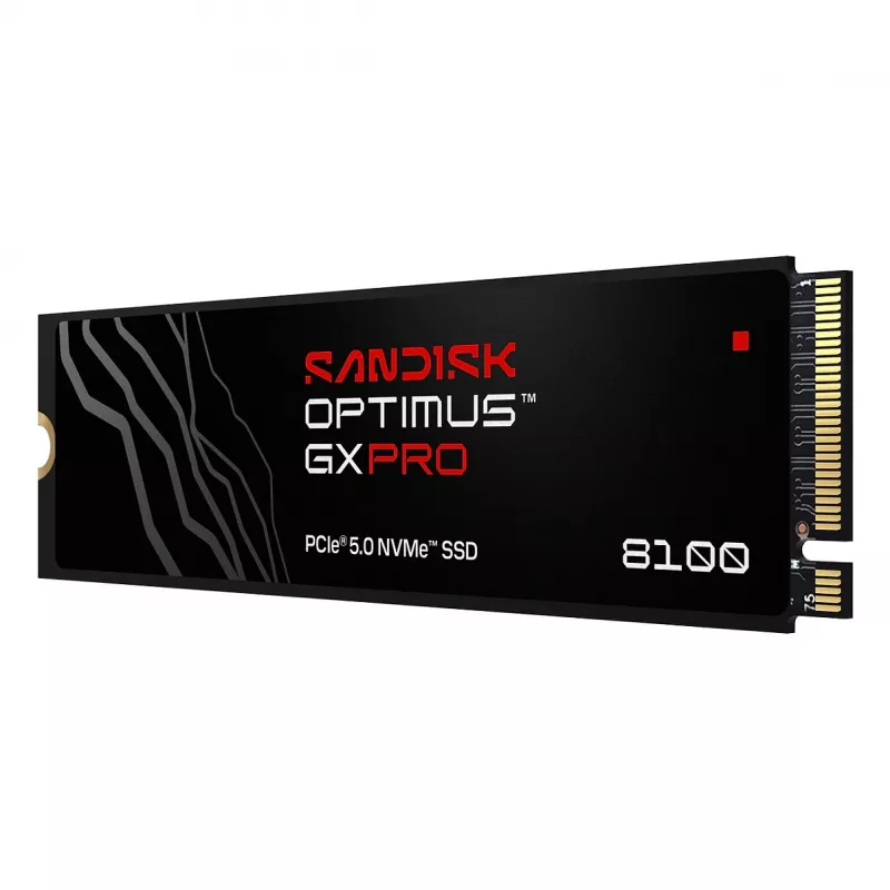 SanDisk Optimus GX PRO 8100
