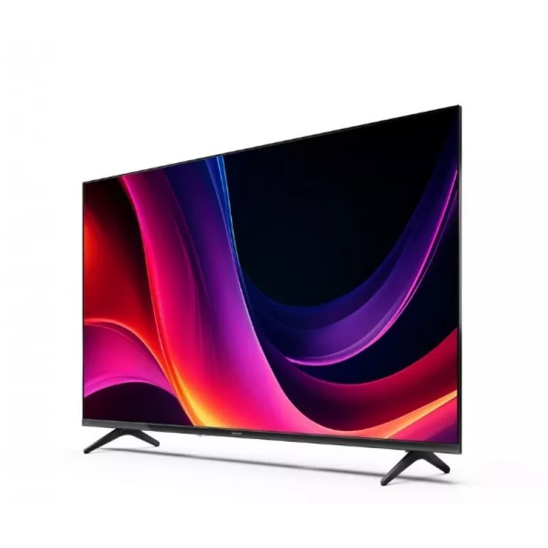 TV LED 43 Zoll 43HE2445E
