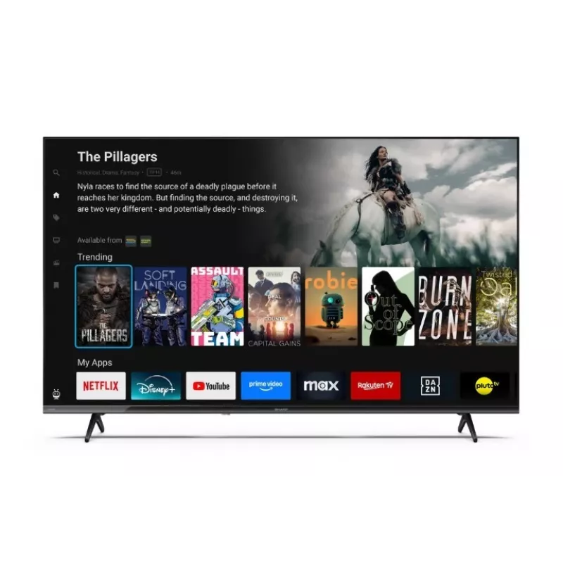 TV LED 43 Zoll 43HE2445E