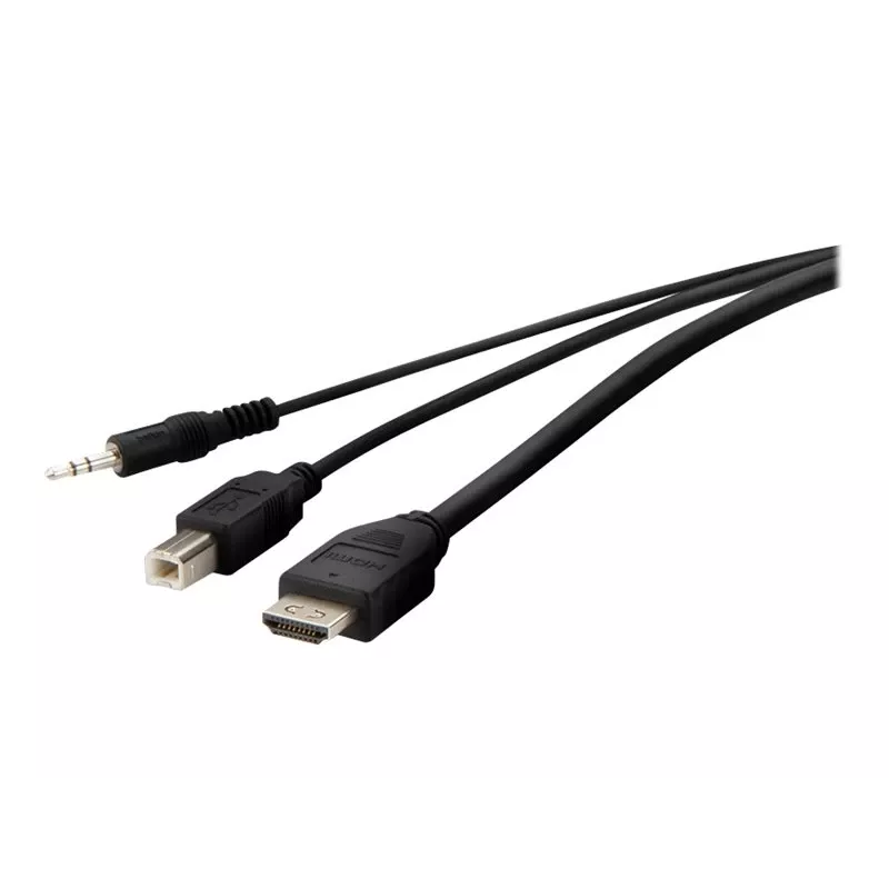 KVM-Kabel Belkin F1DN1CCBL — HDMI auf USB A/B mit Audio, USB-Tastatur/Maus-Anschlüsse, 3 m