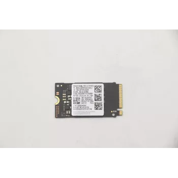 Lenovo 5SS0V42253 Internes Solid-State-Laufwerk M.2 256 GB PCI Express (5SS0V42253)