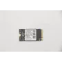 Lenovo 5SS0V42253 Internes Solid-State-Laufwerk M.2 256 GB PCI Express (5SS0V42253)