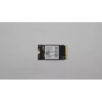 SSD-Laufwerk Lenovo 256 GB M.2 NVMe PCIe 5SS0Z86692