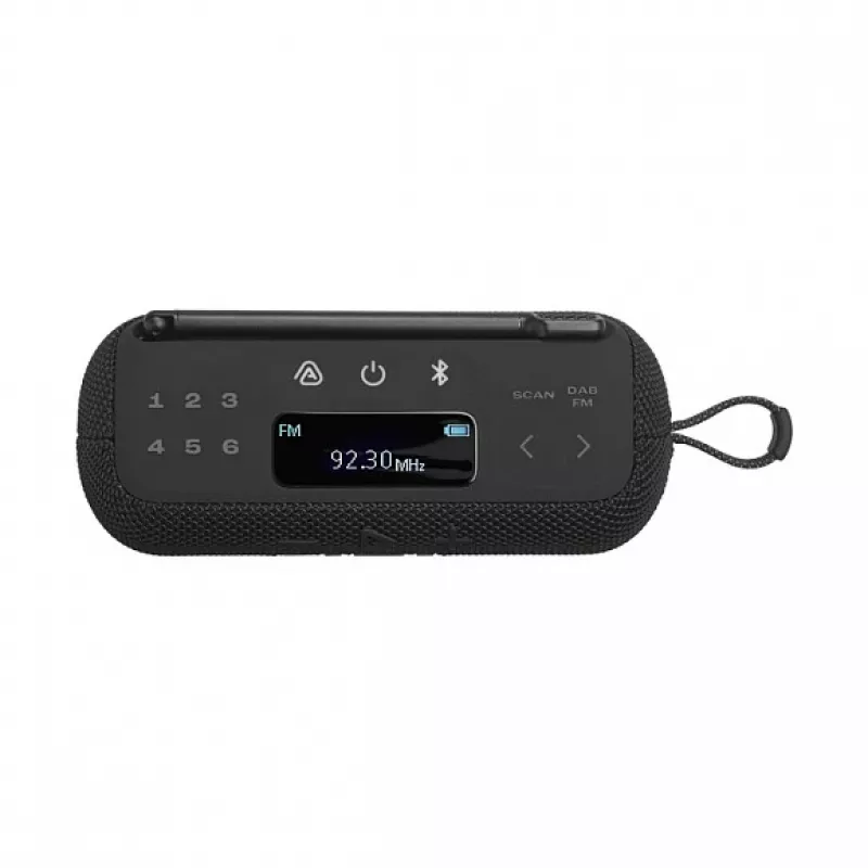 Tragbares Radio JBL Tuner 2 Schwarz DAB DAB+ FM 7W