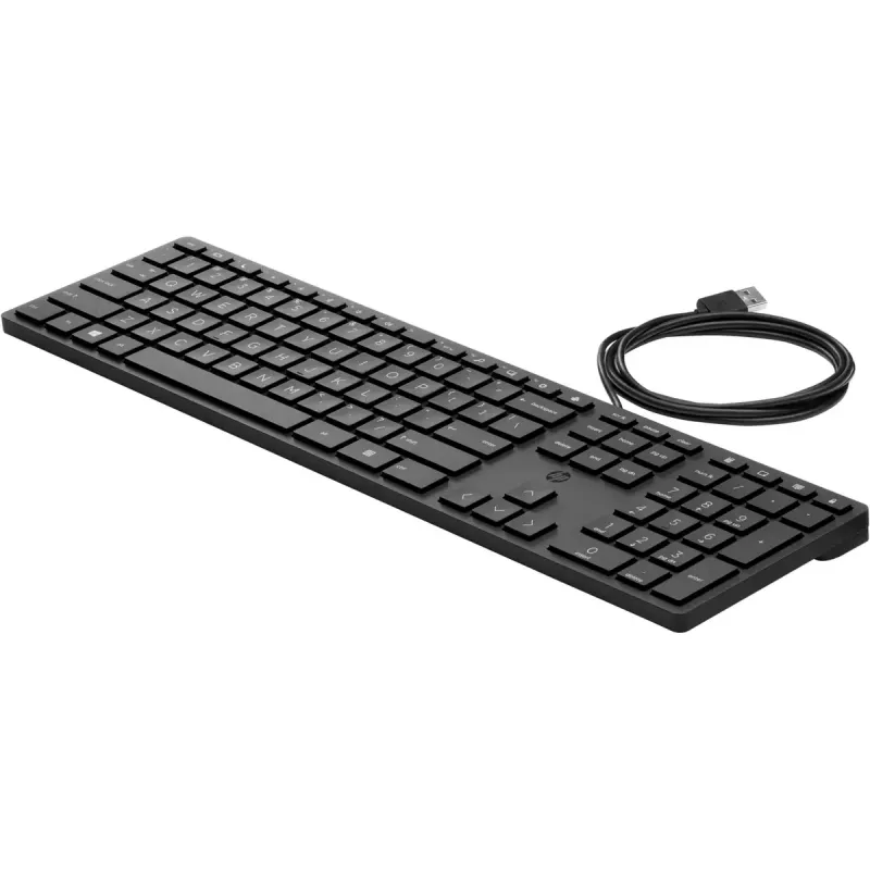 HP Wired Desktop 320K Tastatur Full-Size USB Mechanisch QWERTY