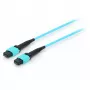 Equip Pro - Patch-Kabel - MTP Multimode (W) - MTP Multimode (W) - 15,0 m - Glasfaser - 50/125 Mikrometer - OM4 - Aquamarin (25555707)