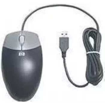 HP DC172B - Maus - optisch - 3 Tasten - kabelgebunden - USB - für MultiSeat t200, Compaq Business Desktop dc7700, ProLiant WS460c G6
