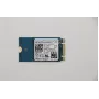 Lenovo SDK 1101 256G M.2 PCIe 2242 SS - Solid-State-Laufwerk - NVMe