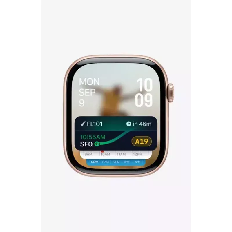 Smartwatch Apple Watch Series 10 GPS + Cellular 46mm Schiefer Titan Gehäuse mit Schiefer Milanese Loop - S/M