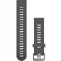 Garmin 010-11251-1N Grau