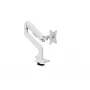 Monitorhalterung Arozzi AZ-ALZARE-NEO-WT Weiß 9 kg VESA 75x75 100x100